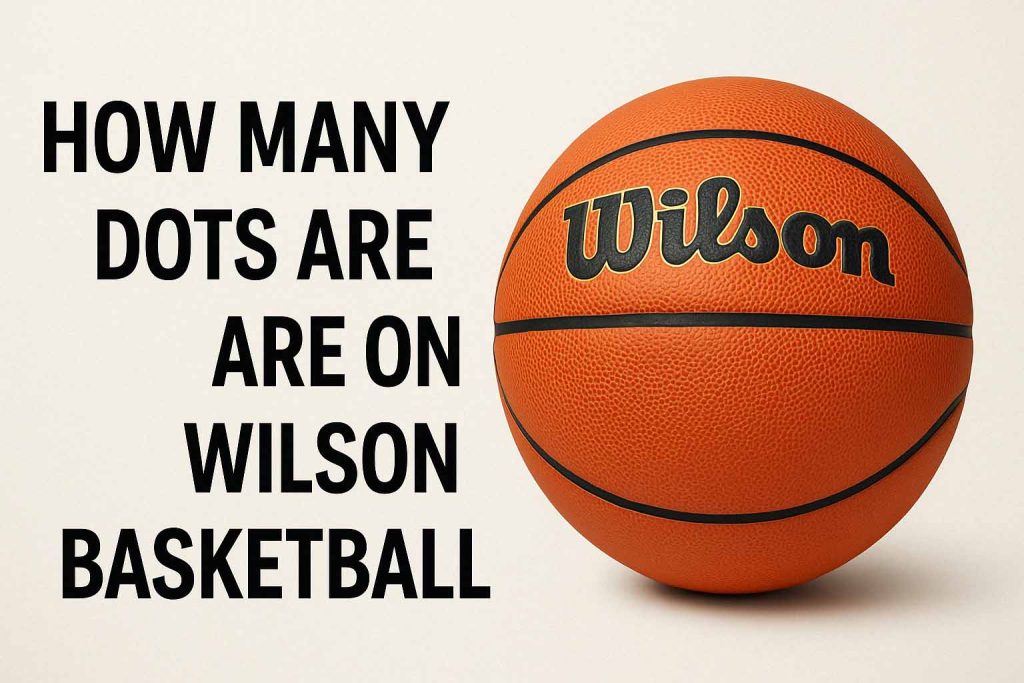 How Many Dots Are on a Wilson Basketball