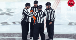 NHL Referee Salaries : Entry-Level Pay, Bonuses & Career Path