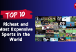 Top 10 Richest and Most Expensive Sports in the World